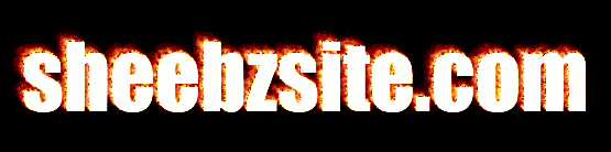 sheebzsite.com